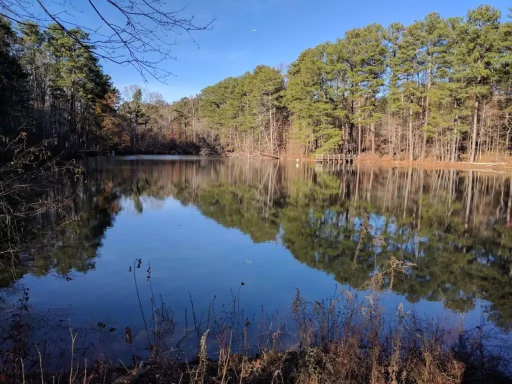 Reynolds Nature Preserve Reynolds Nature Preserve