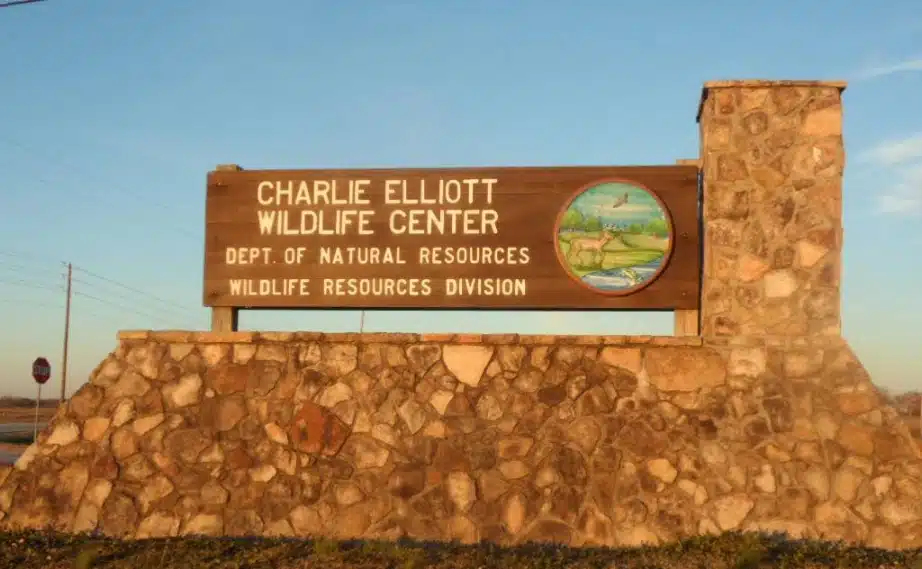 Charlie Elliott Wildlife Center