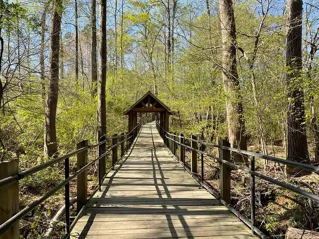 Suwanee Creek Greenway in Suwanee, GA