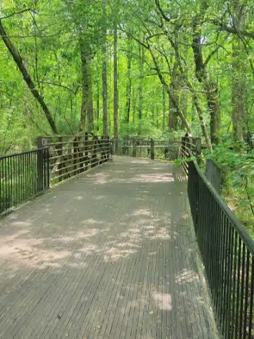 Tribble Mill Park, Loganville, GA