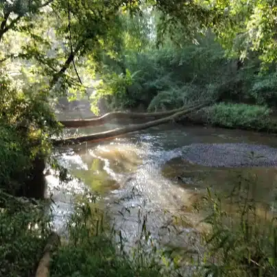 Big Creek Greenway