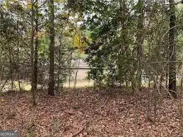 Alcovy Forest