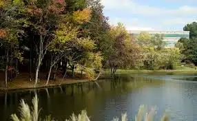 Johns Creek, GA