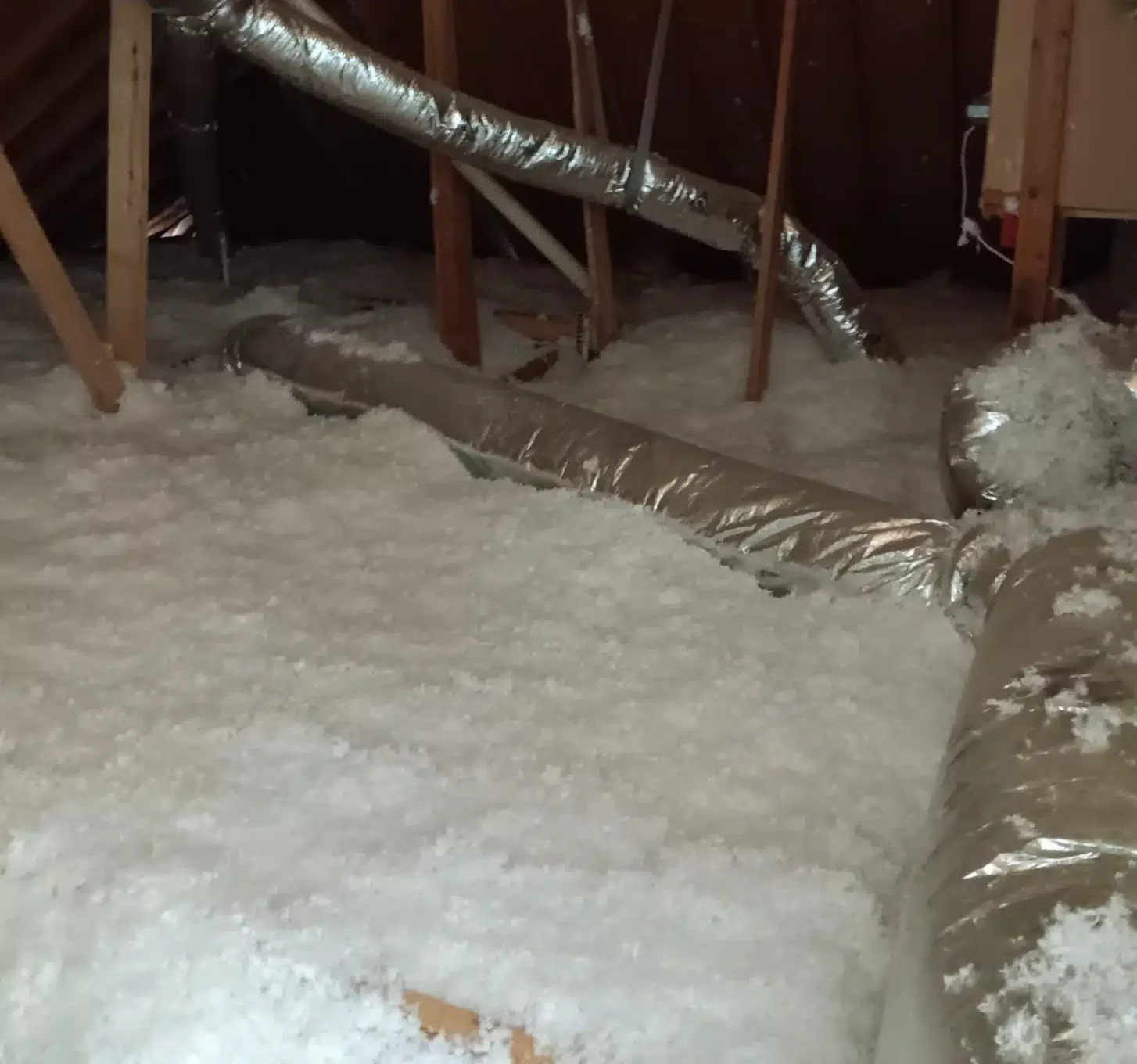 Can Blown-In Insulation Keep Pests Out of Your Attic? Can Blown-In Insulation Keep Pests Out of Your Attic?